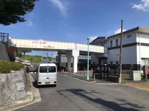 IMG_6176 (カスタム)