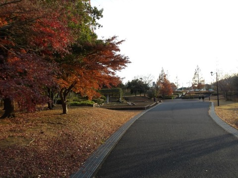 100_0135 (カスタム)