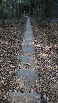 PC190549