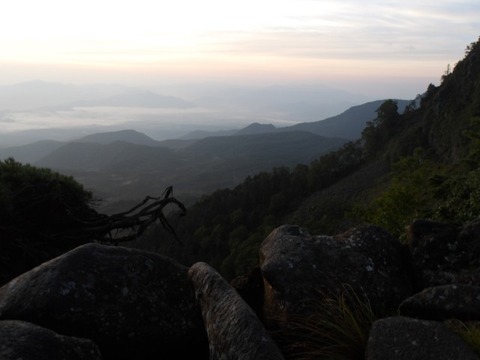 100_0142 (カスタム)