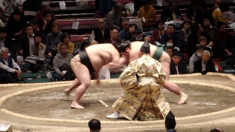 P1230059 (640x360)