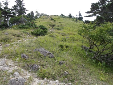 100_0248 (カスタム)