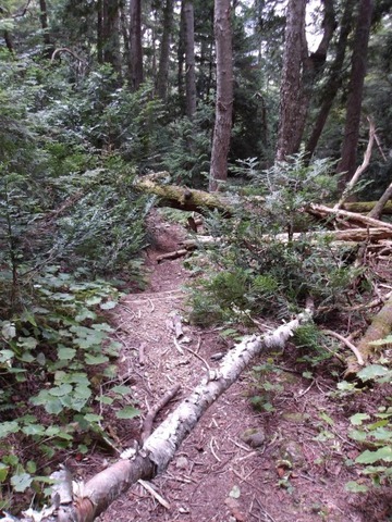 100_0279 (カスタム)