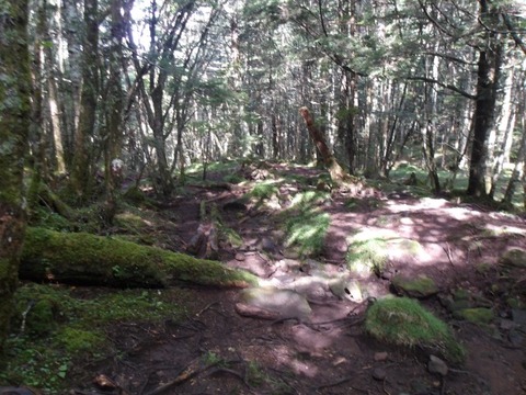 100_0192 (カスタム)