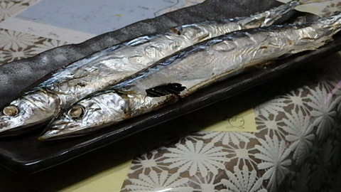 PB040101