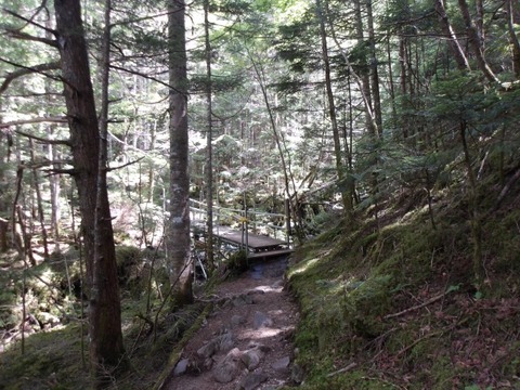 100_0114 (カスタム)