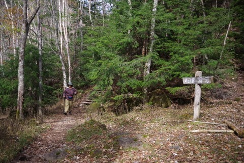 IMGP2643 (カスタム)