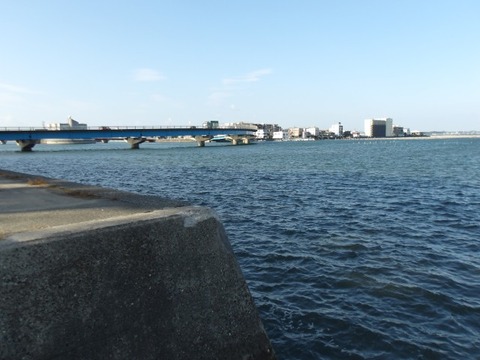 100_0631 (カスタム)