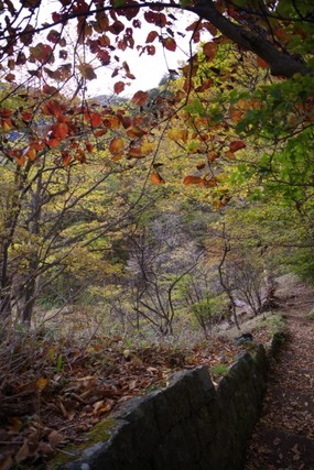 IMGP2663 (カスタム)