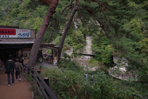 IMGP2550 (カスタム)