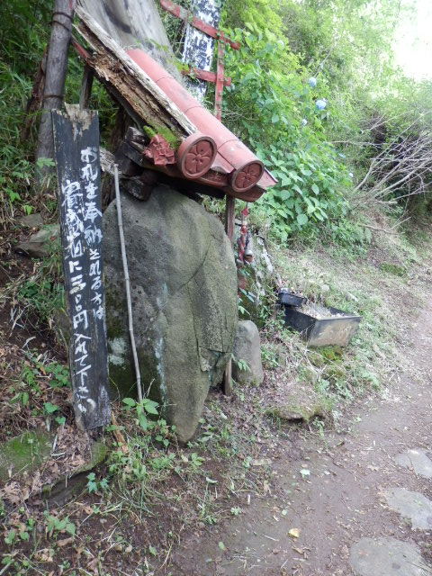 イメージ 18