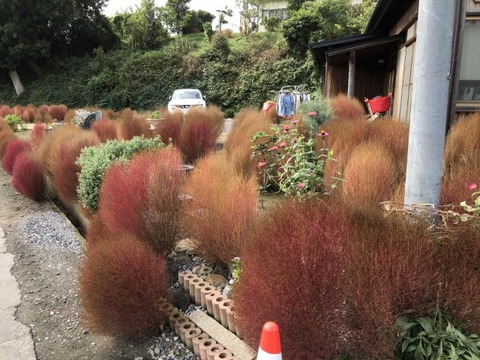 IMG_6622 (カスタム)