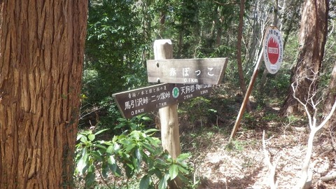 IMGP1084 (640x360)