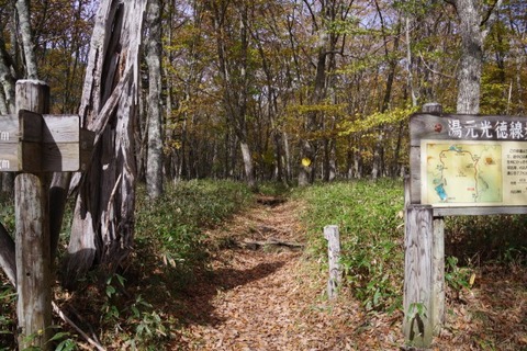 IMGP2579 (カスタム)