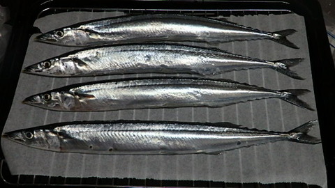 PB040096