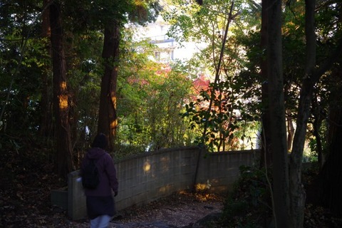 IMGP2797 (カスタム)