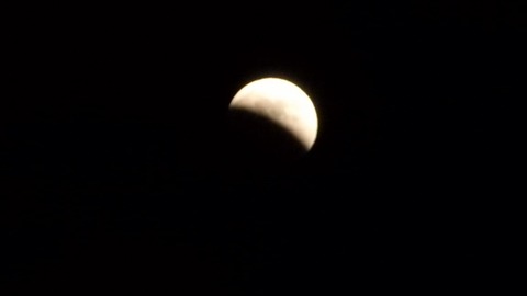 PB080285 (640x360)