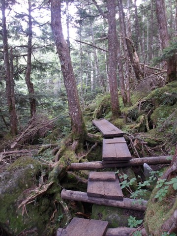 100_0120 (カスタム)