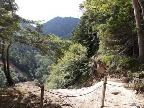 100_0202 (カスタム)