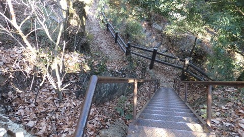 PC190538 (640x360)
