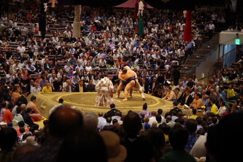 IMGP2379 (カスタム)