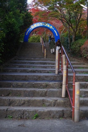 IMGP2816 (カスタム)