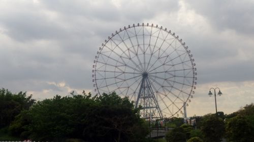 イメージ 5