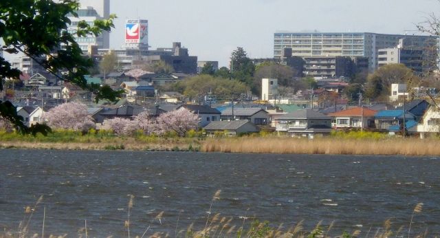 イメージ 9