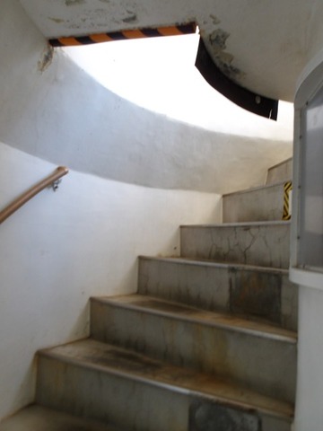 100_0713 (カスタム)