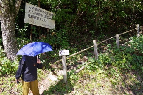 IMGP2456 (カスタム)