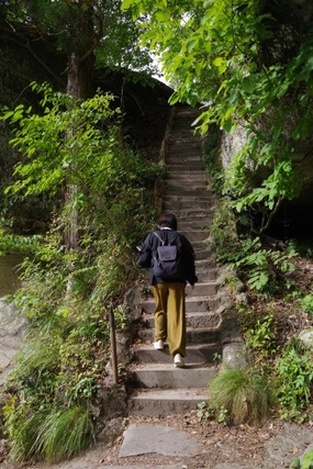 IMGP2556 (カスタム)