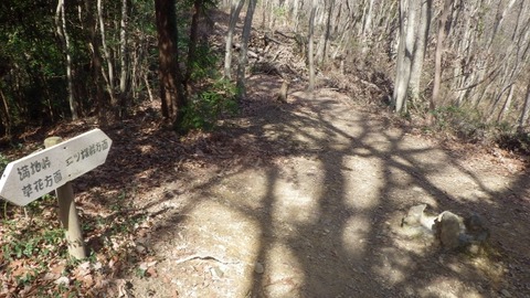 IMGP1067 (640x360)