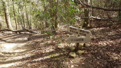 IMGP1064 (640x360)