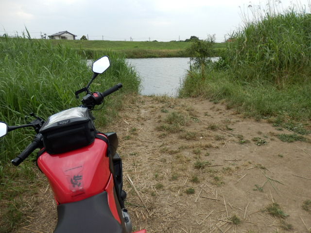 イメージ 4