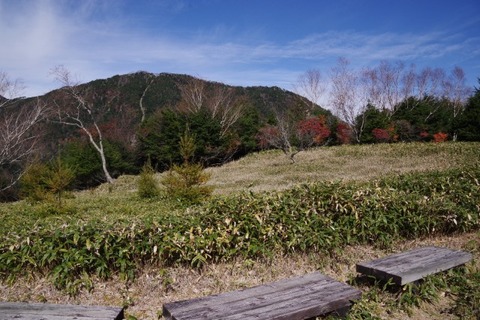 IMGP2590 (カスタム)