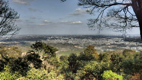 P3228548