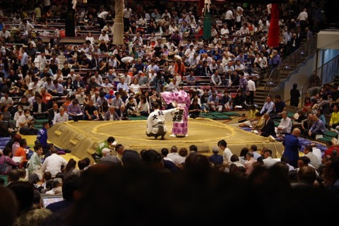 IMGP2374 (カスタム)