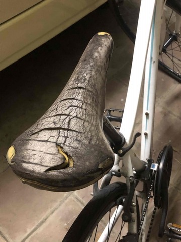 IMG_6213 (カスタム)