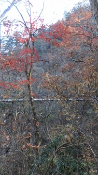 PB090435 (360x640)