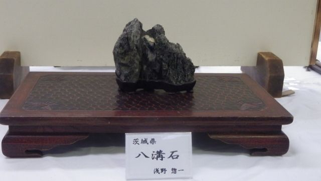 イメージ 9