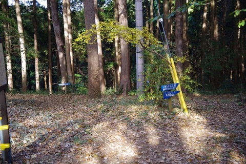 IMGP0210 (640x427)