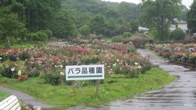 イメージ 8