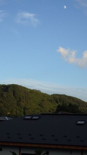 イメージ 29