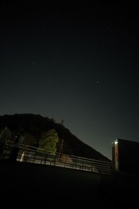 IMGP2916 (カスタム)