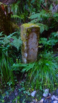 PB080148 (360x640)