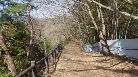 IMGP1063 (640x360)