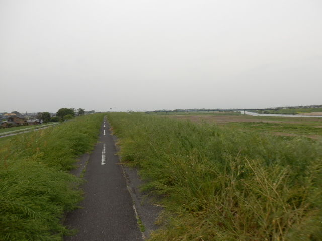 イメージ 4