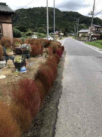 IMG_6656 (カスタム)