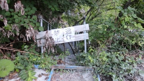 P8050038 (640x360)