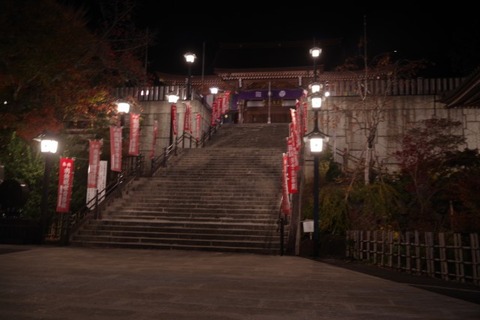 IMGP2964 (カスタム)